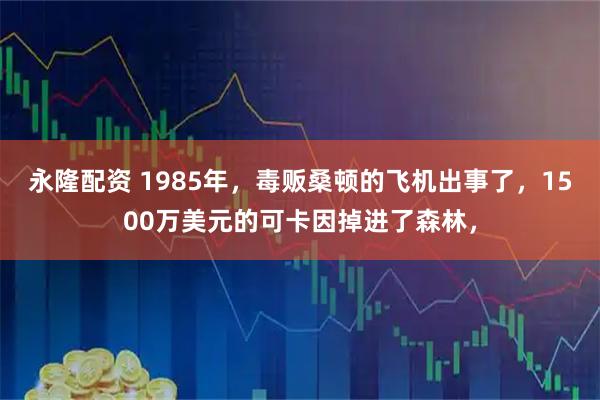 永隆配资 1985年，毒贩桑顿的飞机出事了，1500万美元的可卡因掉进了森林，
