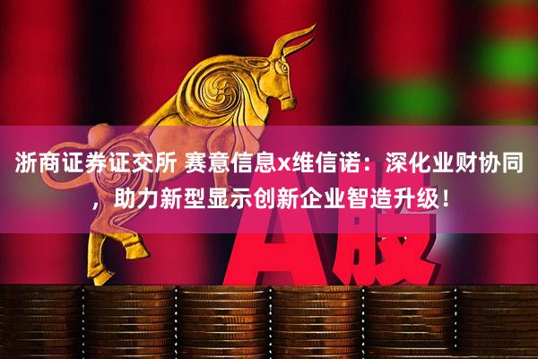 浙商证券证交所 赛意信息x维信诺：深化业财协同，助力新型显示创新企业智造升级！