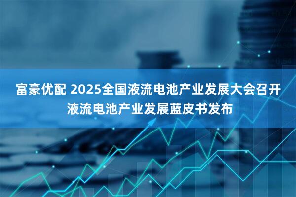 富豪优配 2025全国液流电池产业发展大会召开 液流电池产业发展蓝皮书发布